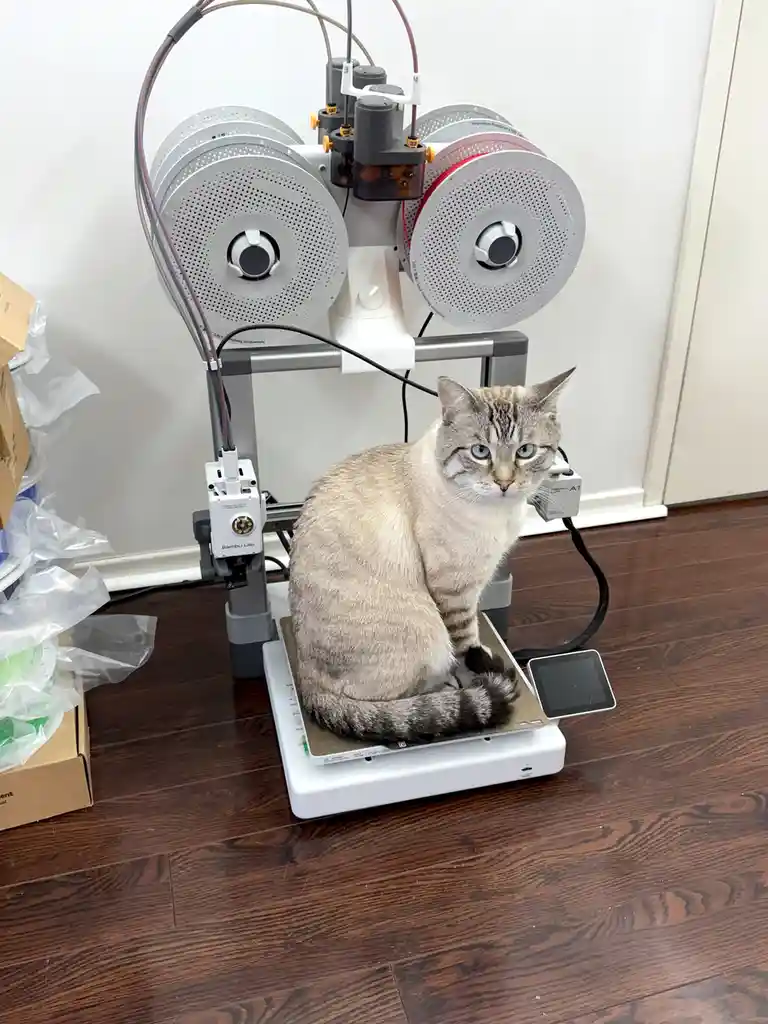A tabby cat with blue eyes sits calmly on the build plate of a Bambu Lab 3D printer, which has multiple spools of filament…