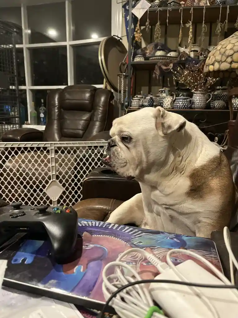 Tank ready for the ultimate cake day celebration!