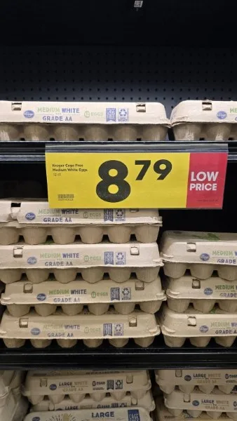 A grocery store shelf displays multiple cardboard egg cartons labeled 'MEDIUM WHITE GRADE AA' and 'LARGE WHITE GRADE AA'. A…