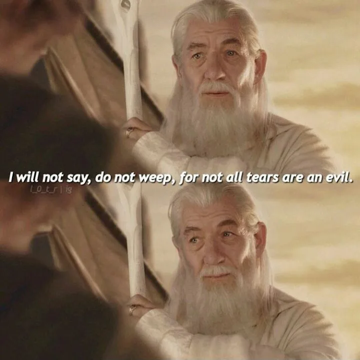 The image shows two stacked close-up shots of the character Gandalf the White from 'The Lord of the Rings', both looking…
