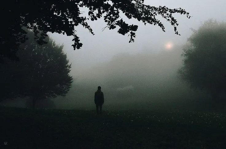 A solitary person stands in a dense, foggy park, silhouetted against a hazy background with trees and a distant light…