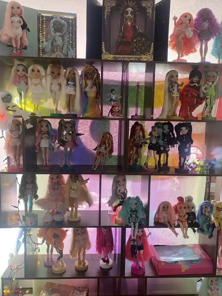 Am I Overdoing It with My Doll Collection?