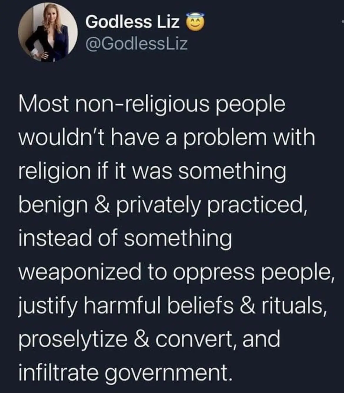 A screenshot of a tweet from 'Godless Liz' with a profile picture of a woman in a blazer. The tweet text argues that…