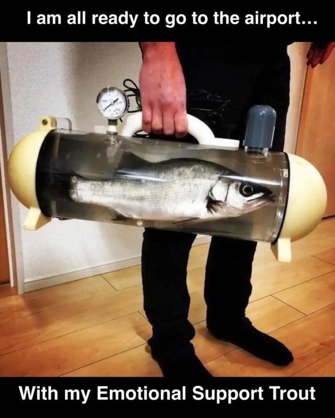 A person in black clothing holds a transparent, cylindrical tank with a handle, containing a live trout. The tank has a…
