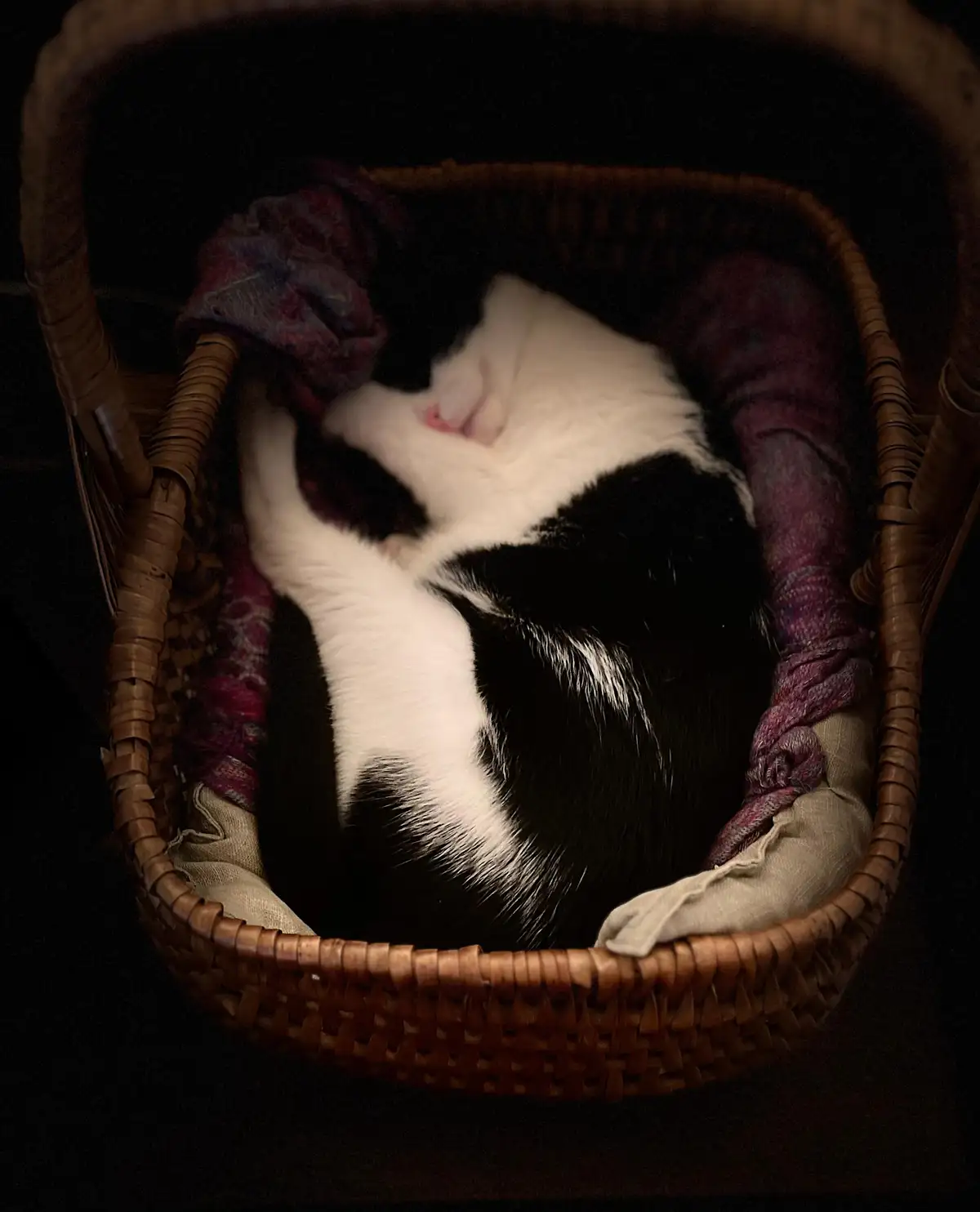 A black and white cat is curled up asleep inside a woven wicker basket lined with fabric, with its paws tucked in. The…