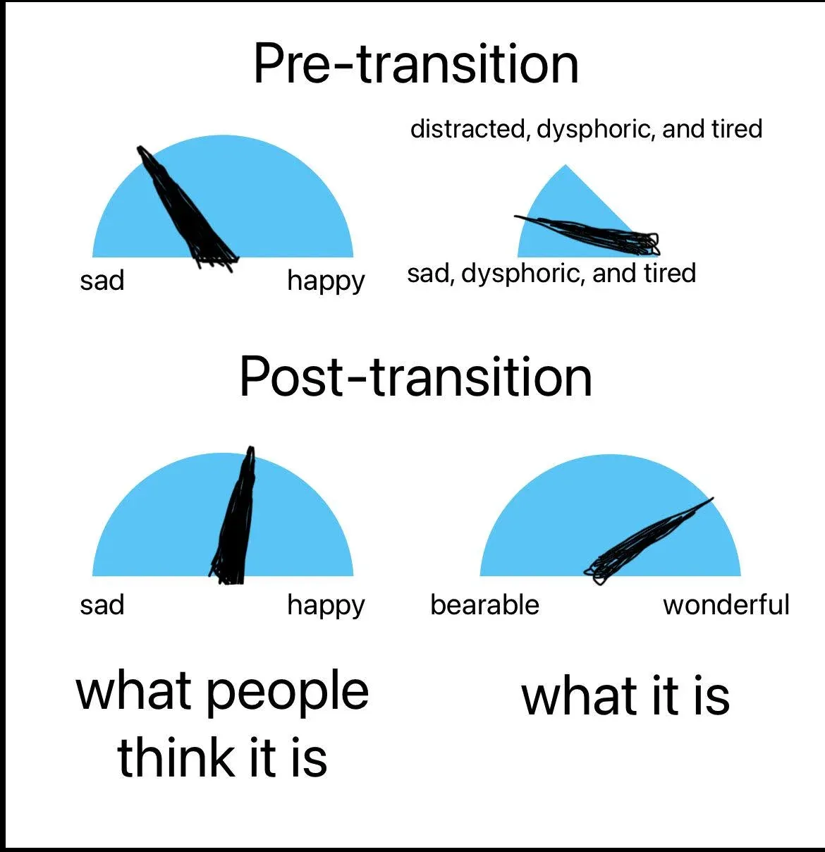 The image displays two sets of mood charts labeled 'Pre-transition' and 'Post-transition'. In 'Pre-transition', one chart…