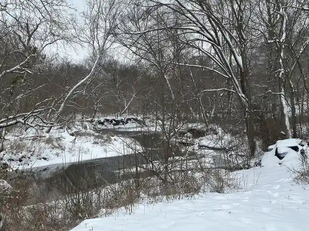 A snowy winter scene shows a river winding through a forest of bare, snow-dusted trees. On the right bank, a car is almost…