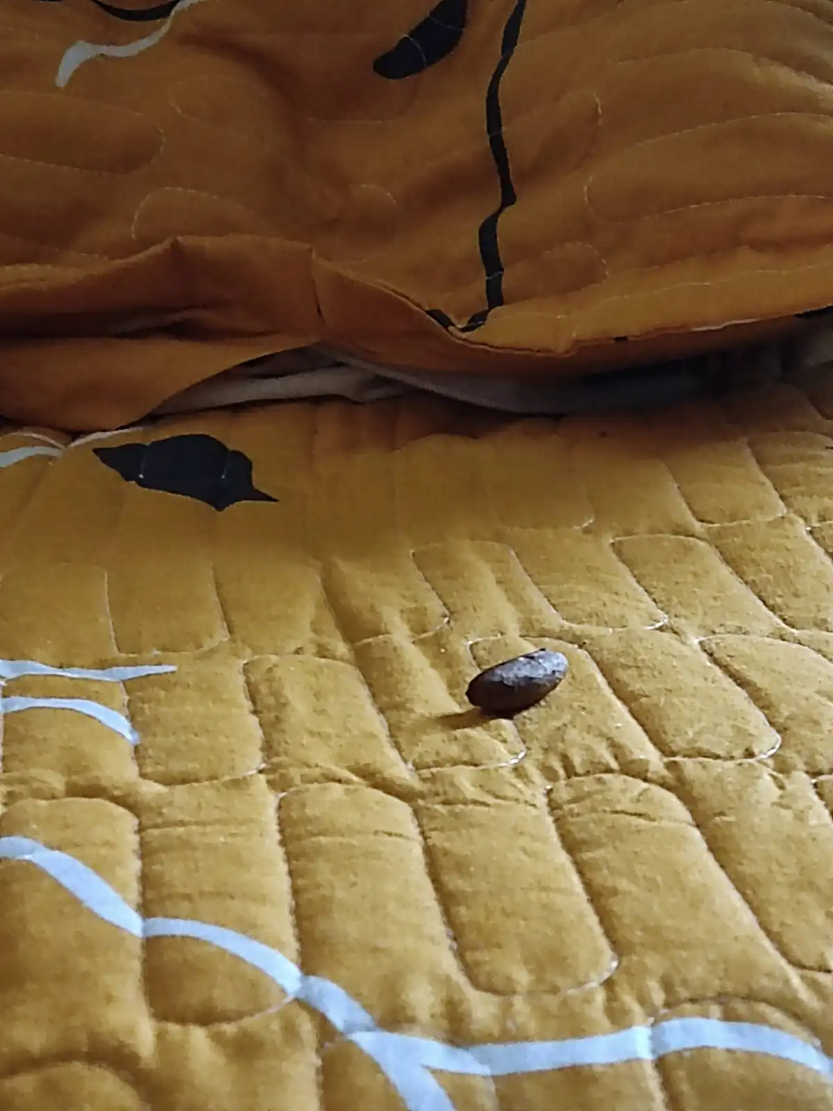 A small, dark, oval-shaped rock rests on a yellow quilted bedspread with black and white patterns, partially covered by a…