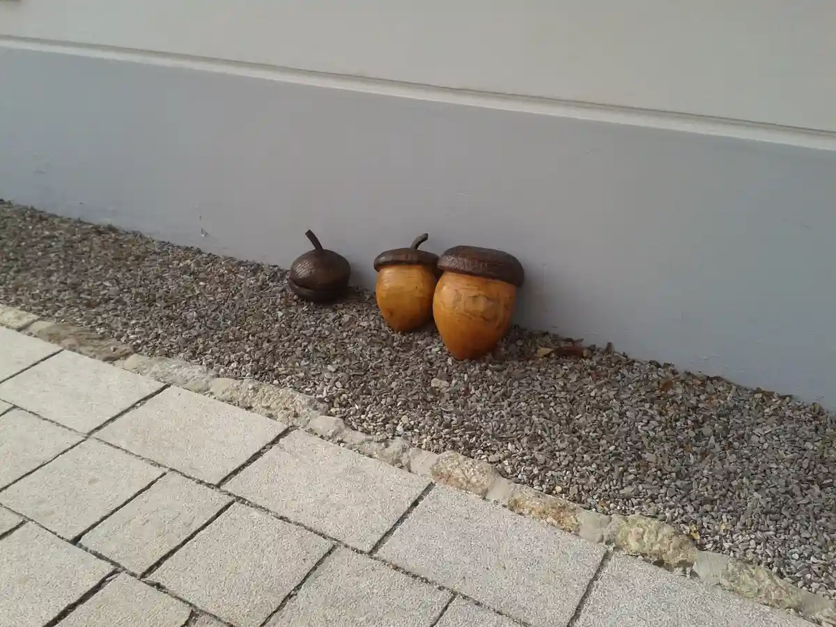 Acorn Squad: Level Up!