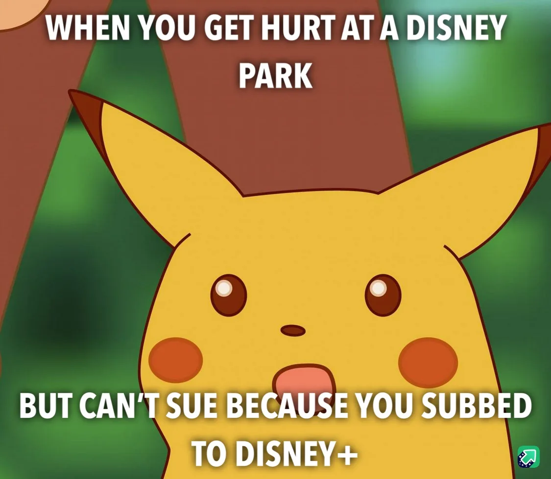 The image features Pikachu with a shocked expression, overlaid with white text that reads 'WHEN YOU GET HURT AT A DISNEY…