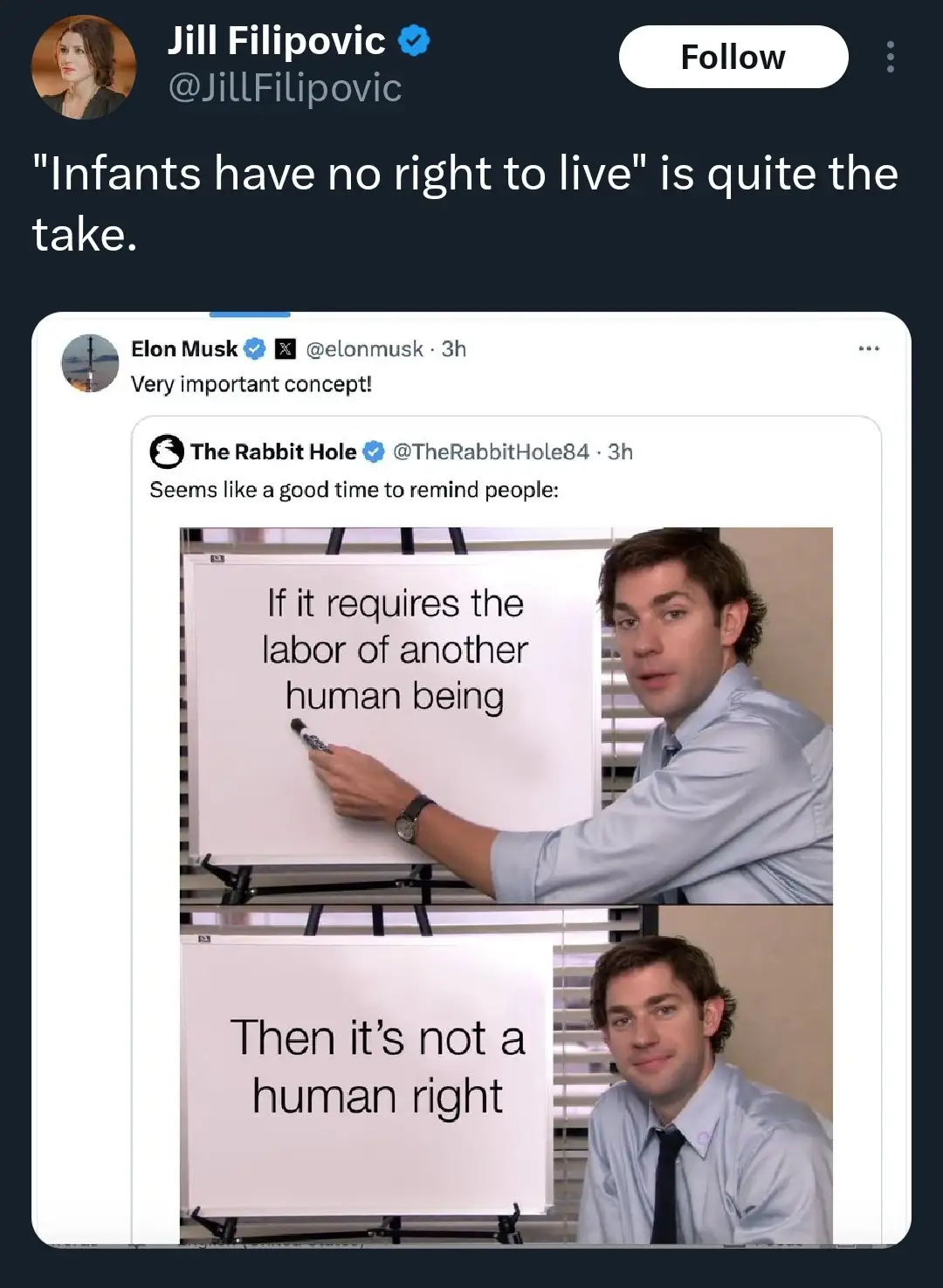 A screenshot of a Twitter thread where Elon Musk replies to a tweet from 'The Rabbit Hole' that includes a meme image of Jim…