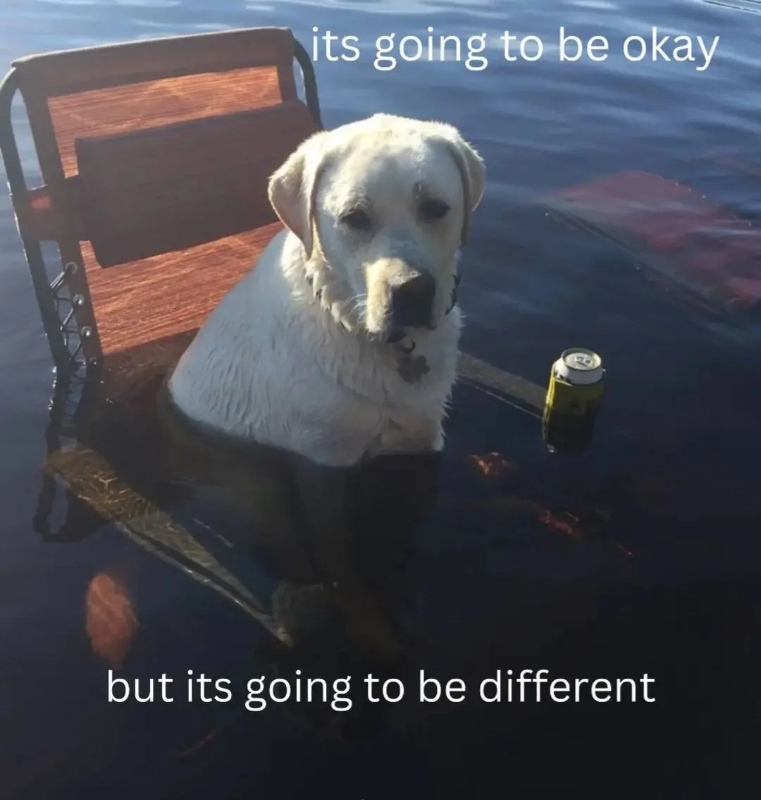 A white labrador retriever sits calmly in a wooden chair partially submerged in water, with a beer can resting on the…