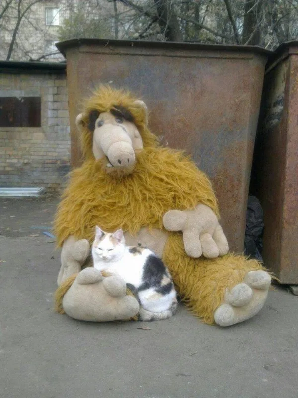 A small white and black cat is sitting calmly on the lap of a large, yellow, shaggy plush toy resembling a woolly mammoth…