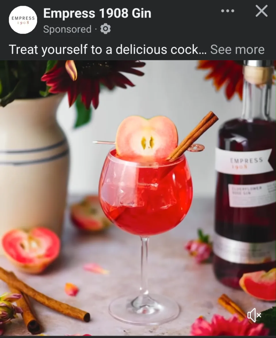 A sponsored social media ad for 'Empress 1908 Gin' shows a vibrant red cocktail in a stemmed glass, garnished with a…