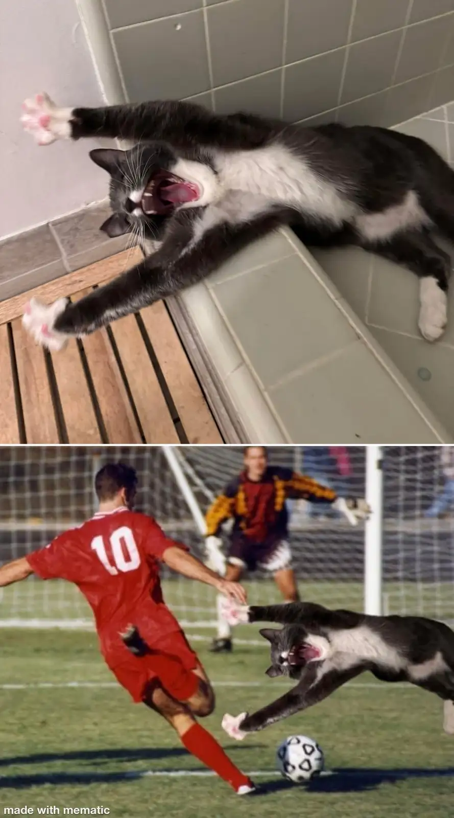 The image is a two-panel meme. The top panel shows a black and white cat lying on a tiled surface, stretching with its mouth…