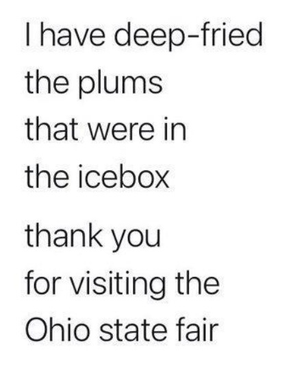 The image displays plain black text on a white background. The text reads: 'I have deep-fried the plums that were in the…