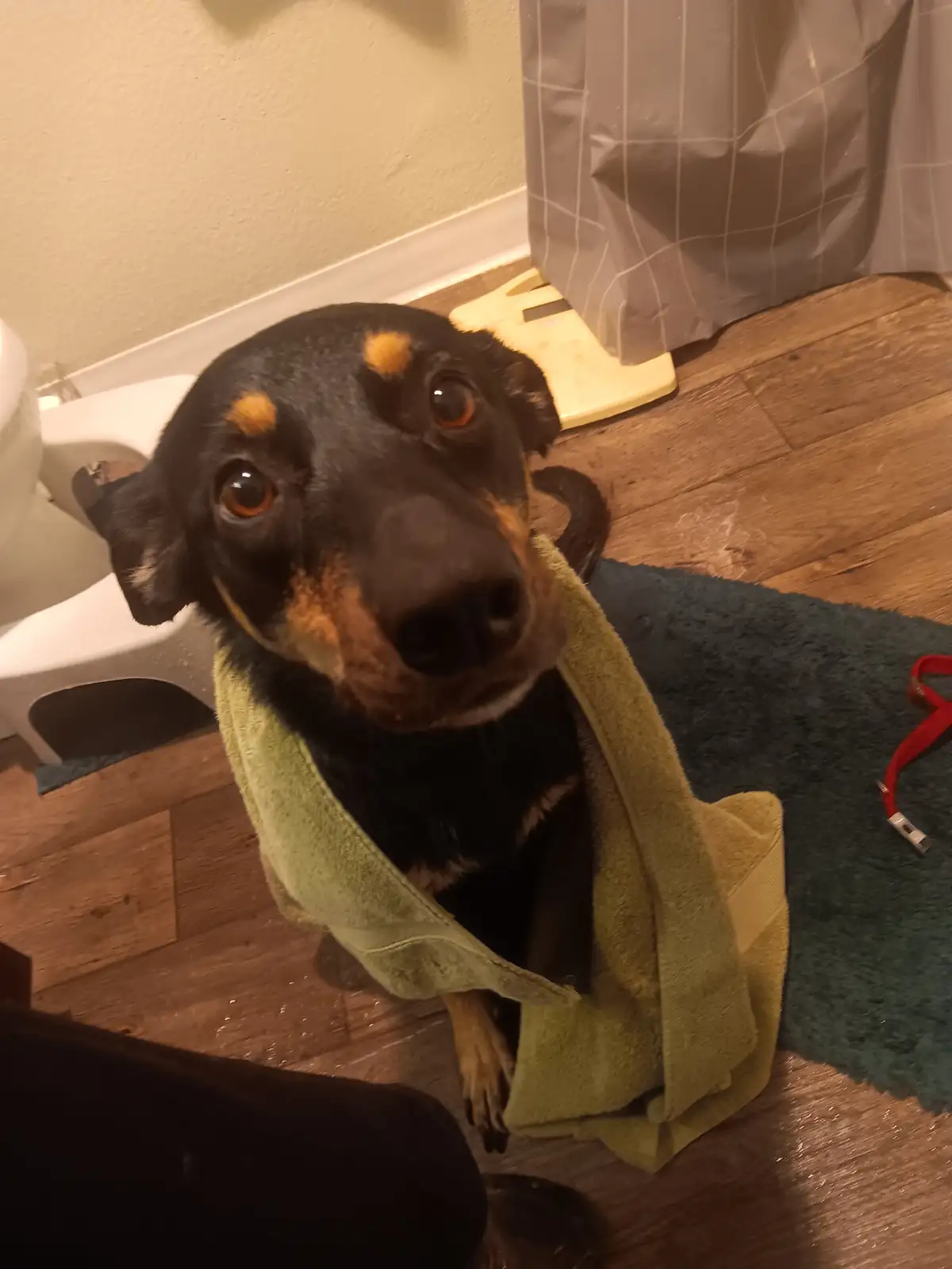 Maya's delightful bath time adventure!