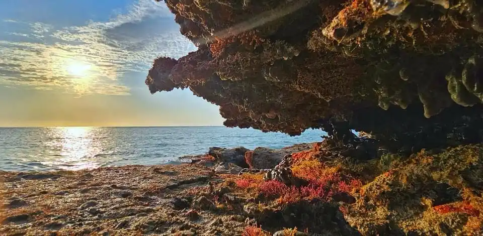 A scenic photo of a rocky beach at sunrise or sunset, with the sun low on the horizon casting golden light across the water…