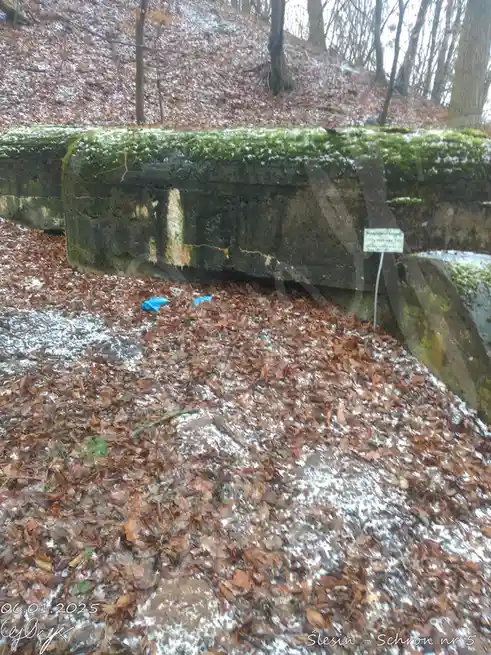 A moss-covered, weathered stone bunker sits in a snowy, leaf-strewn forest, with a small sign reading 'Polski schron bojowy…