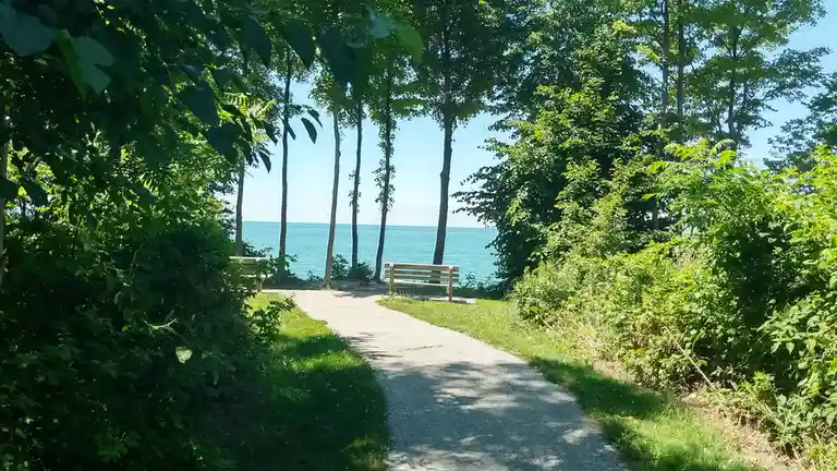 A serene path winds through lush green trees toward a tranquil blue lake, with wooden benches on either side. The overlaid…