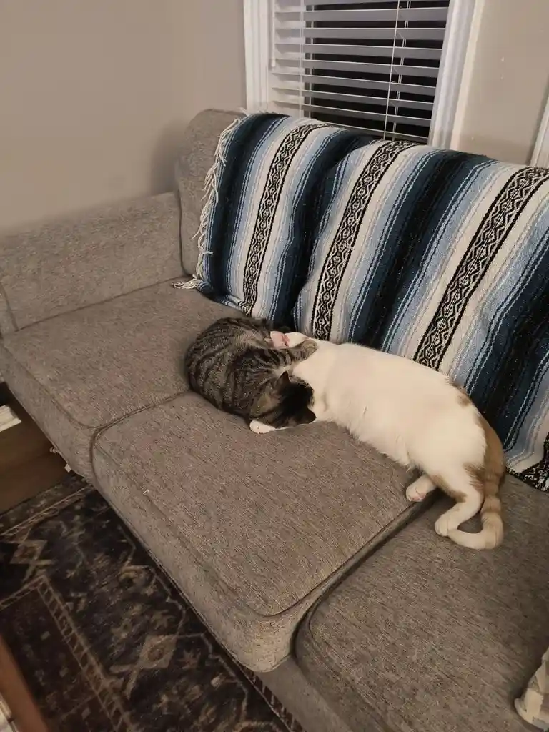 The Ultimate Sleepy Squad