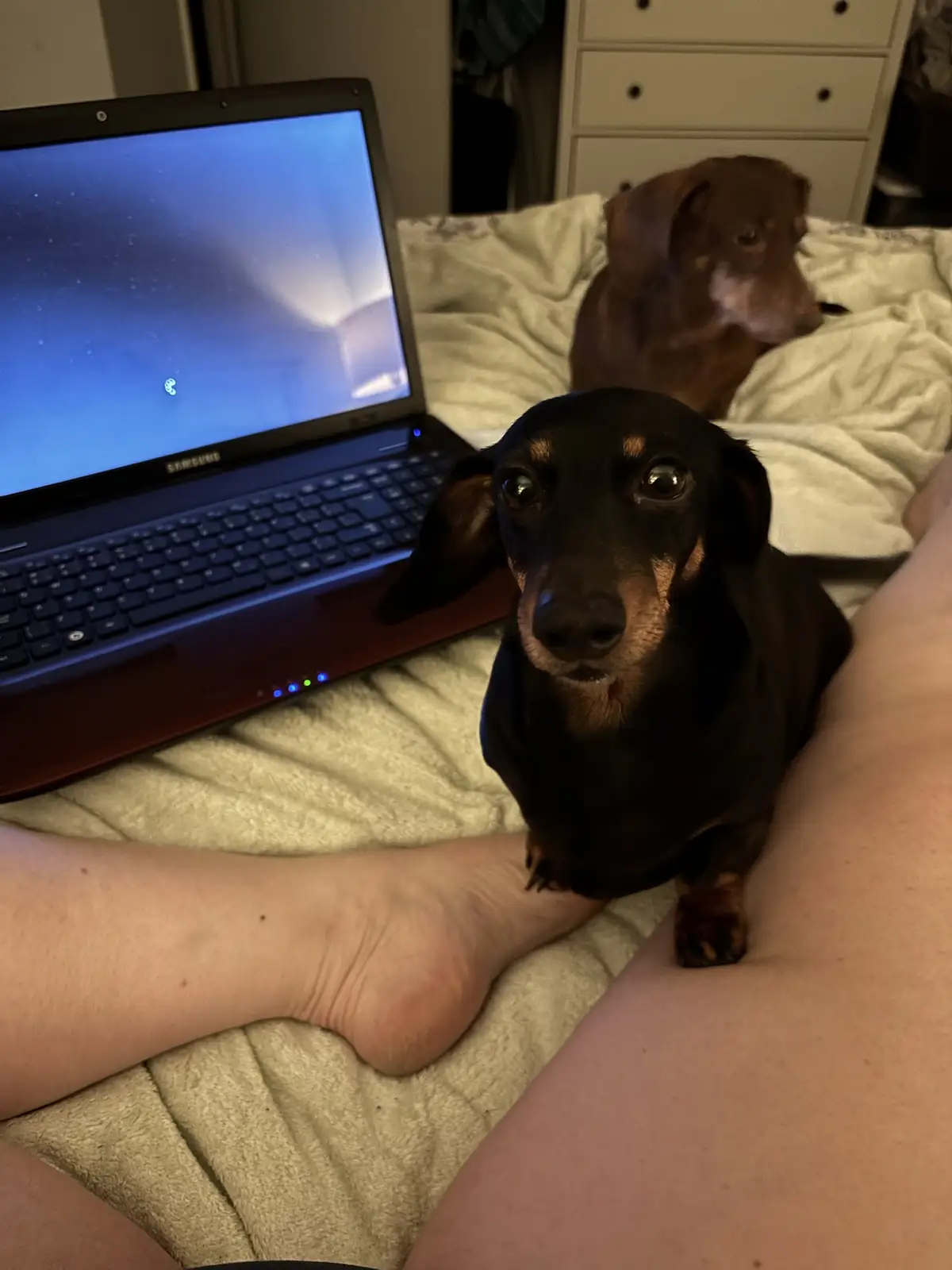 Are We Actually Going to Get Some Work Done?