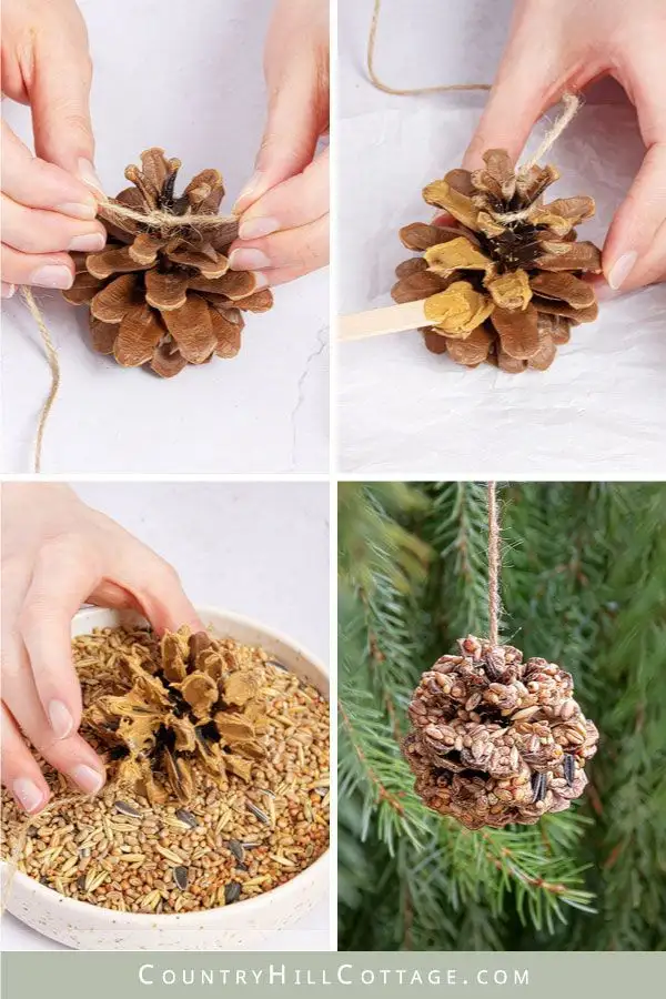 A four-panel image shows hands stringing twine through a pinecone, applying glue with a popsicle stick, filling it with…