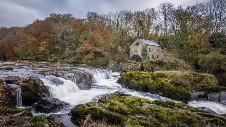 Check out the stunning Cenarth Falls!