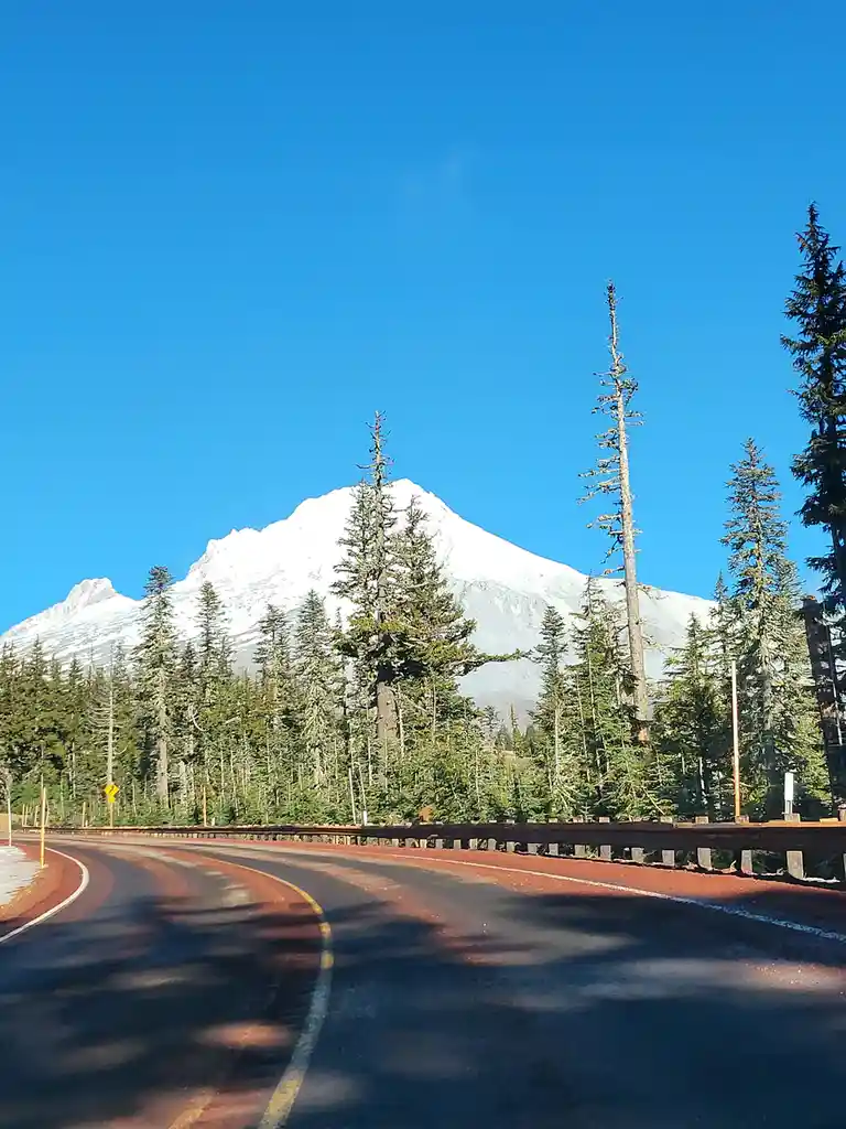 A scenic photo of a winding road through a forest with a snow-capped mountain in the background under a clear blue sky. The…