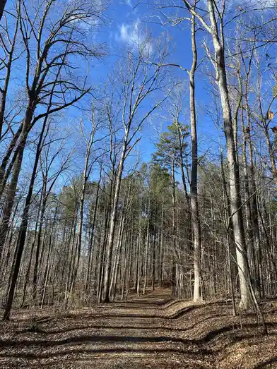 A beautiful day spent exploring Duke Forest