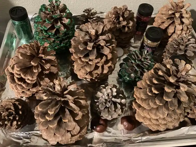 Go Team Pinecone—Let's Win This!