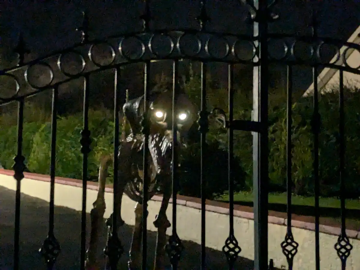 No Guests This Halloween? Can't Imagine Why...
