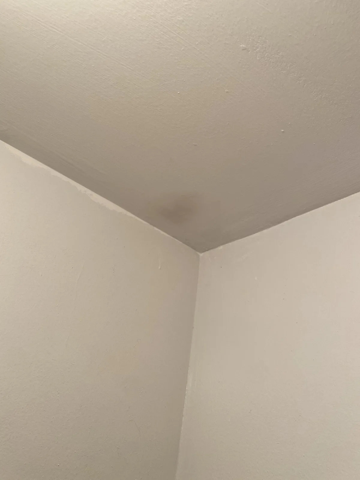A close-up photo shows a corner where a white ceiling meets two white walls, with a visible dark water stain on the ceiling…