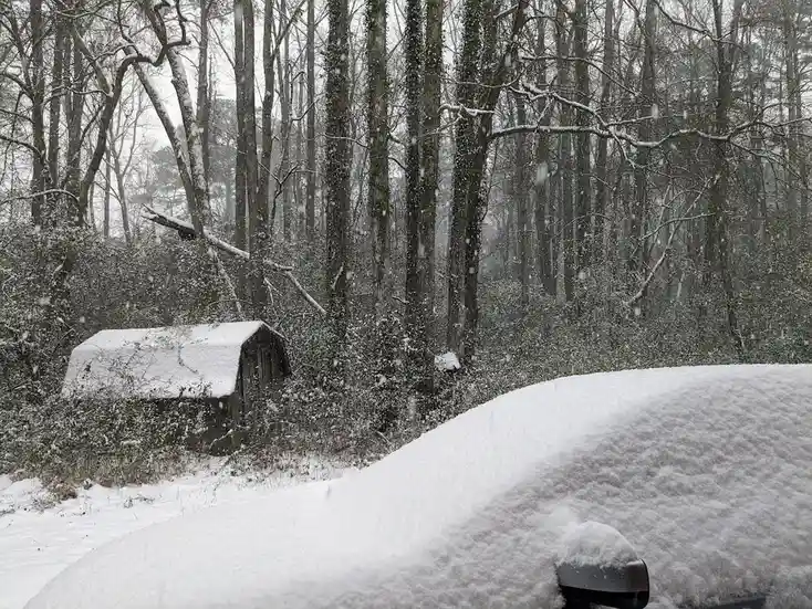 Welcome to Georgia's Snowy Wonderland