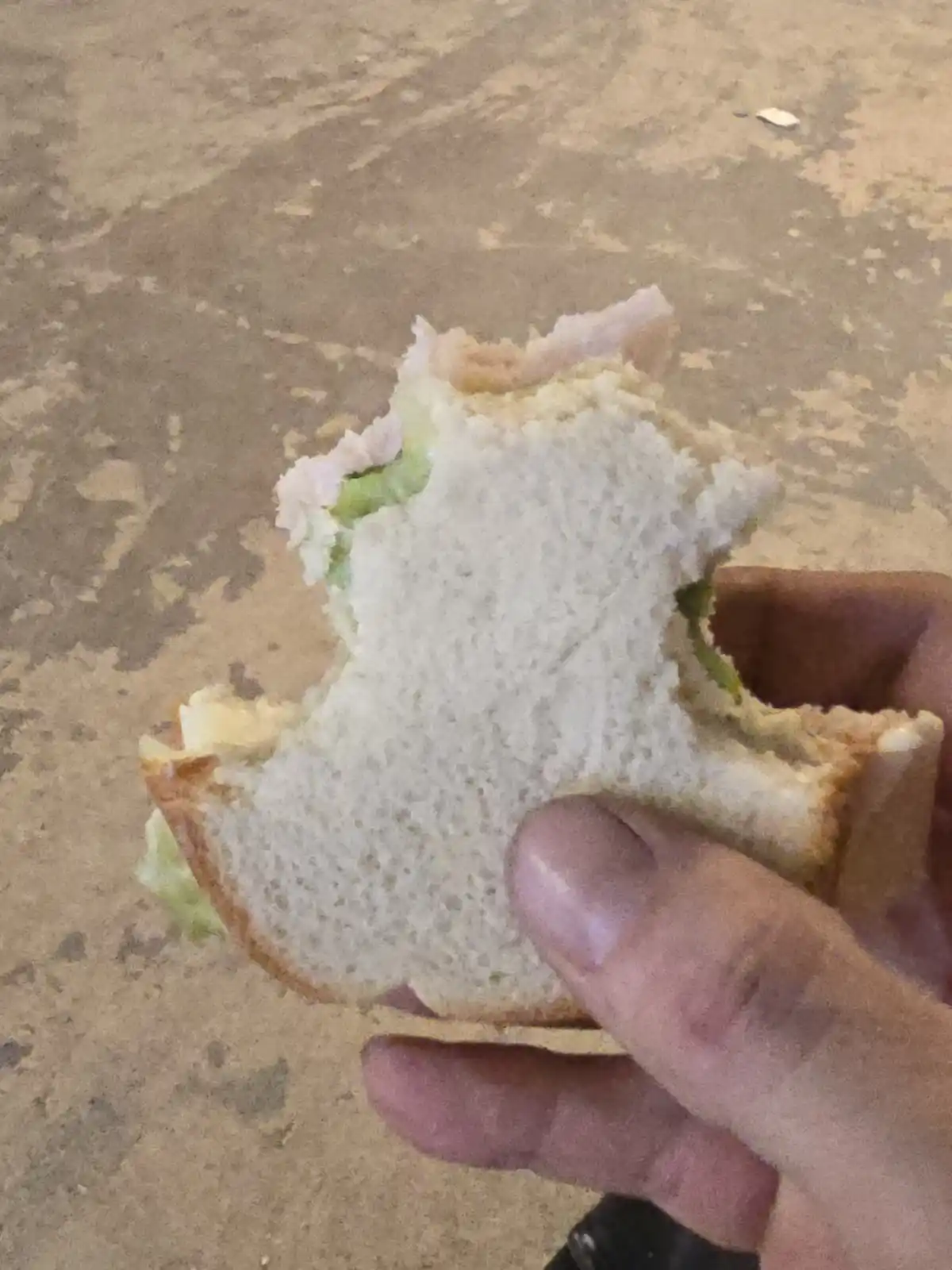 I’ve set myself up for the ultimate bite!