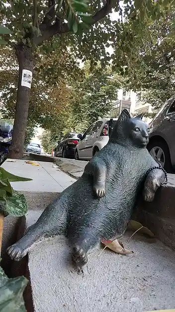 Tombii the Cat: Before and After the Big Move