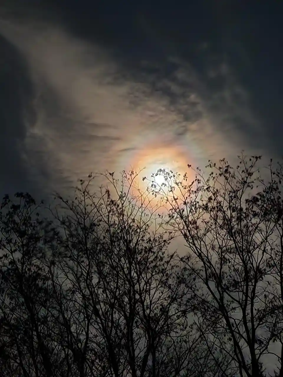 A photograph shows a bright moon partially obscured by thin, wispy clouds, with a faint, glowing halo around it. Silhouetted…