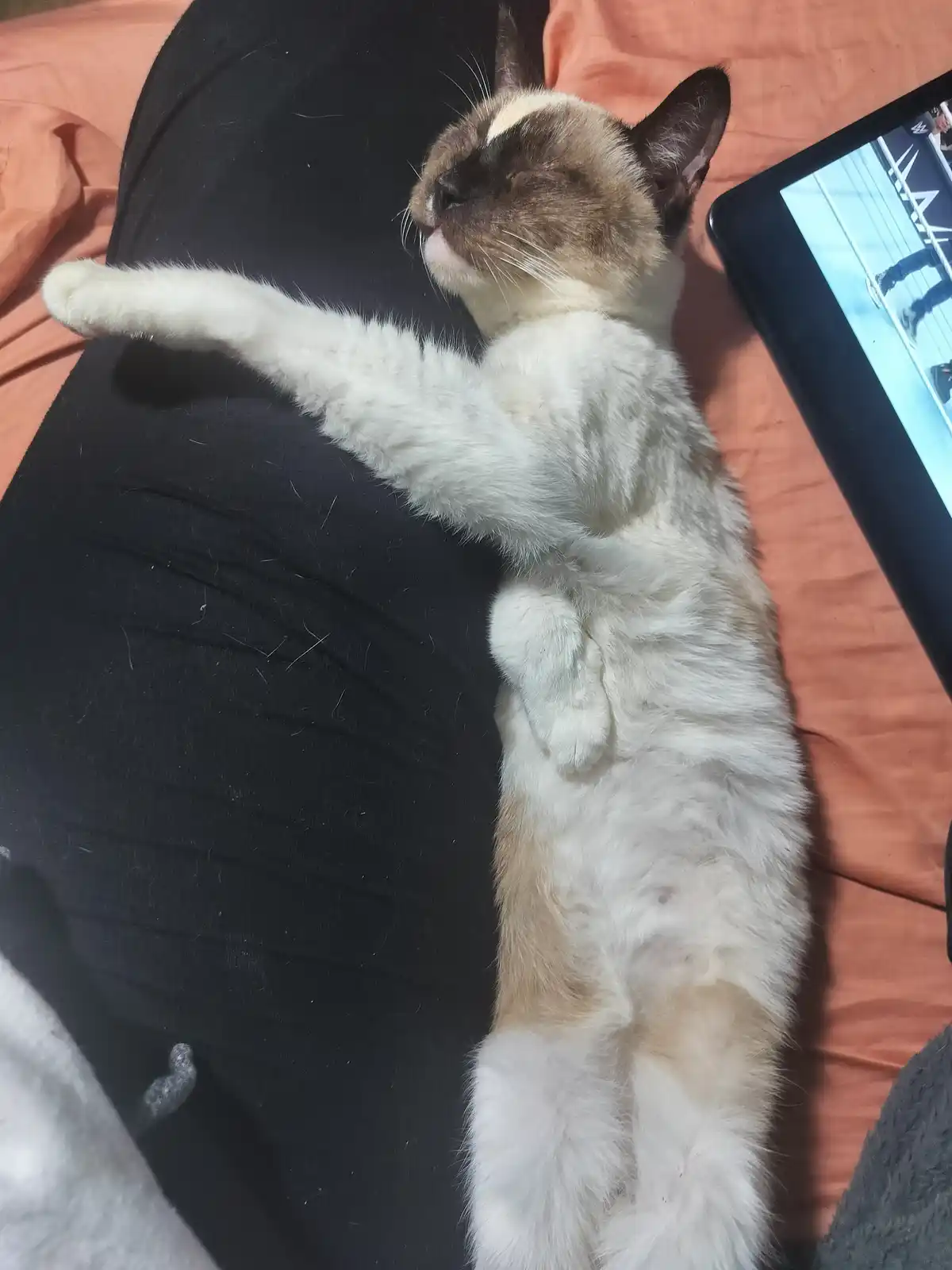 Snuggle Up: It's Cuddle Time!