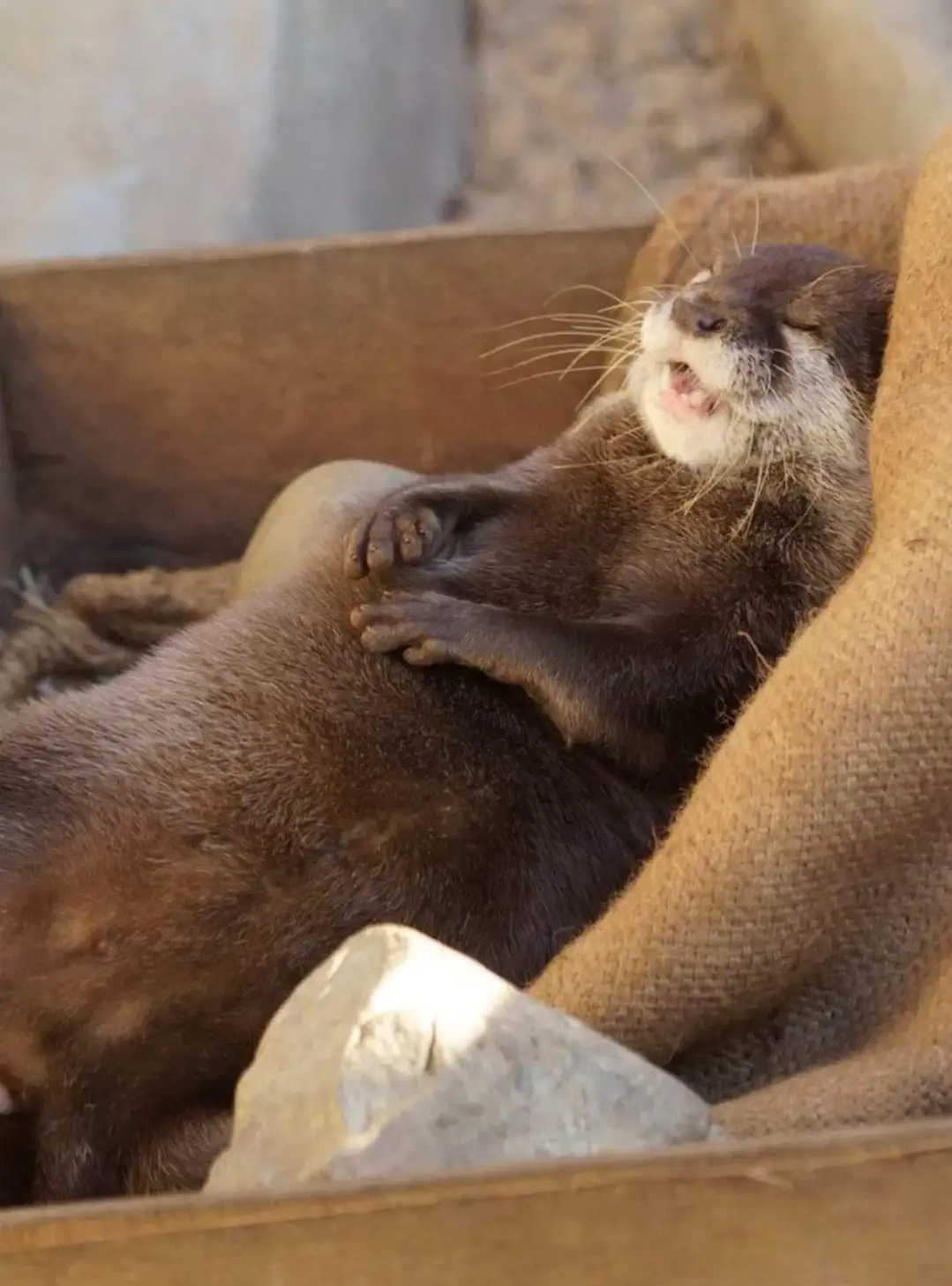 Me trying to survive another day at work.