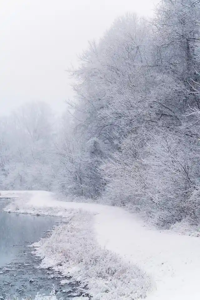 A serene winter scene shows a snow-covered path winding beside a calm river, with frost-laden trees lining the banks under…