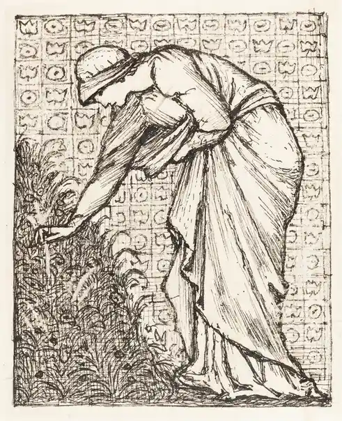 A Lady Gathering Fresh Herbs in Nature