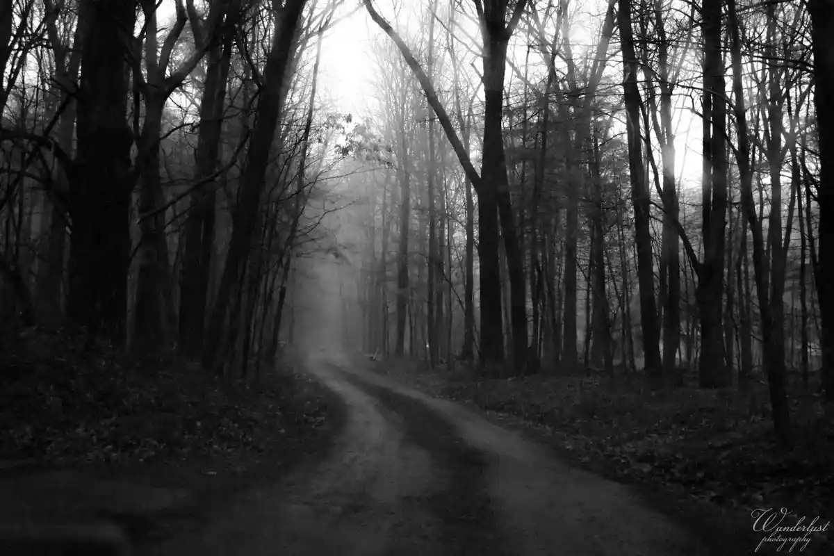 The Enigmatic Misty Road