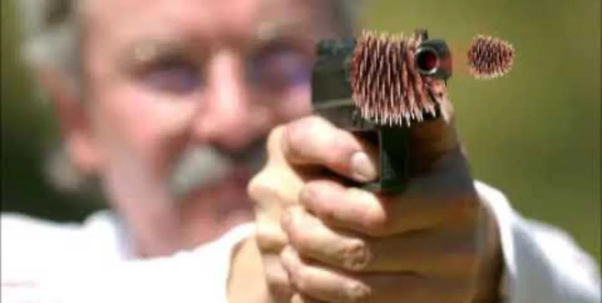 Surprise! The Pinecone Gun Strikes Again!