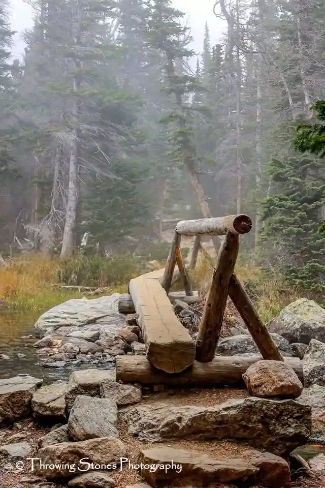 A Bridge to New Possibilities