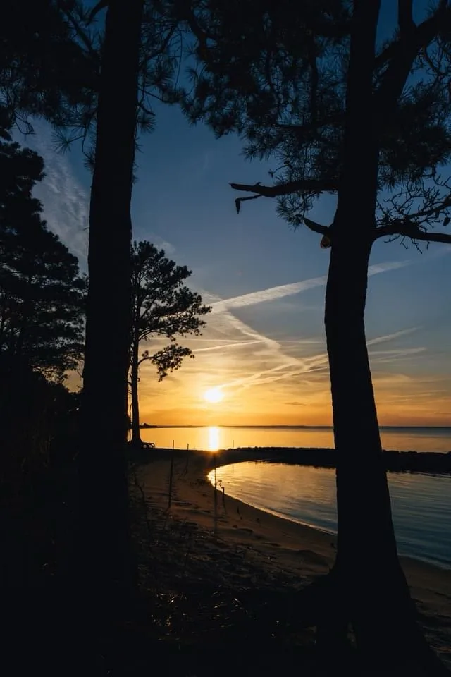 A serene sunset viewed through silhouetted pine trees, with the sun low on the horizon reflecting on calm water. Overlaid…