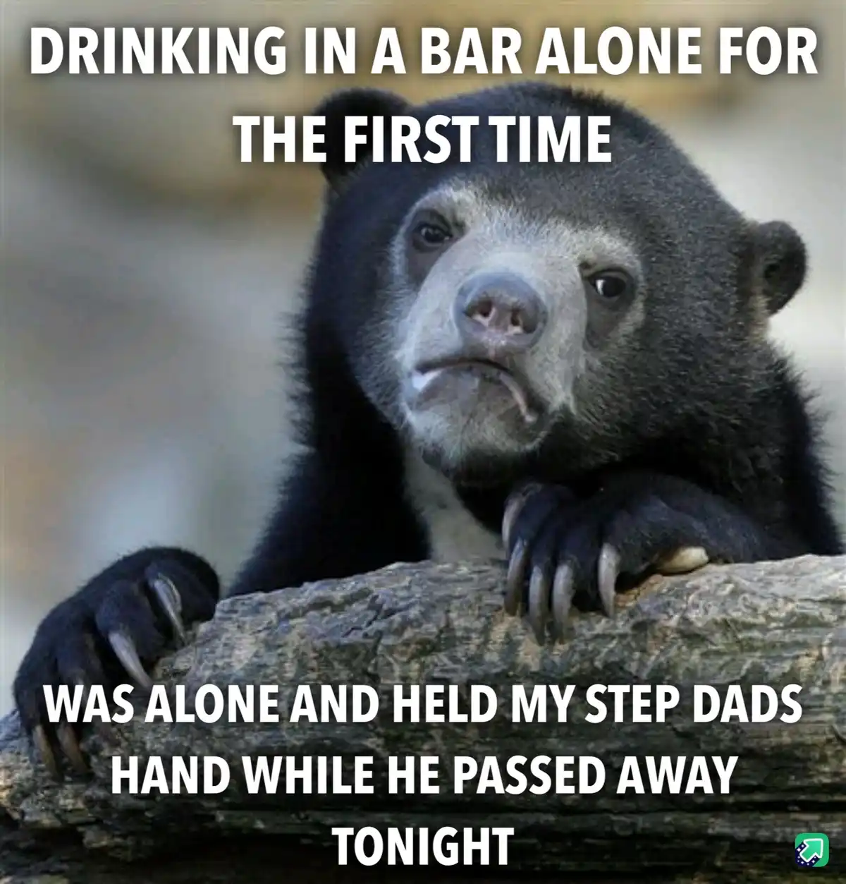A close-up photo of a sad-looking spectacled bear resting its paws on a log, with white text overlaid in two sections. The…