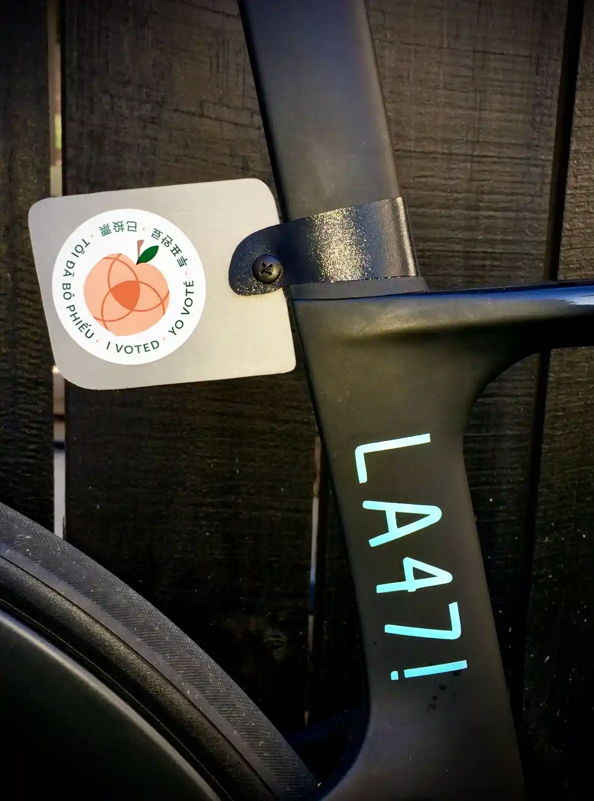 A close-up photo shows a circular 'I Voted' sticker with a peach design and text in multiple languages (including…