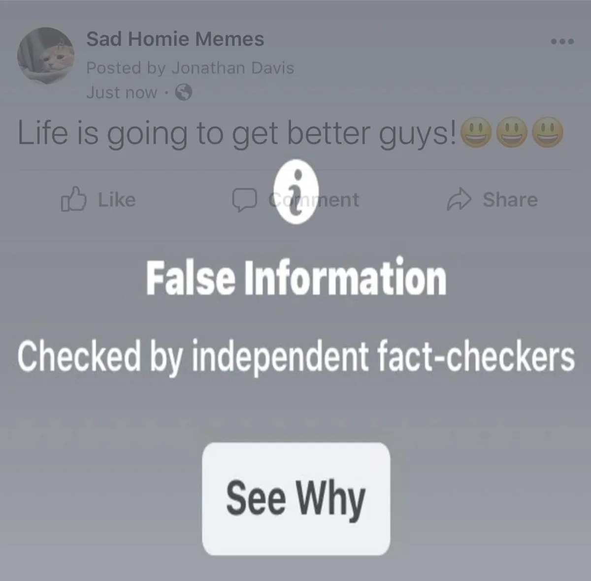 At Last, Facebook AI Finally Understands!