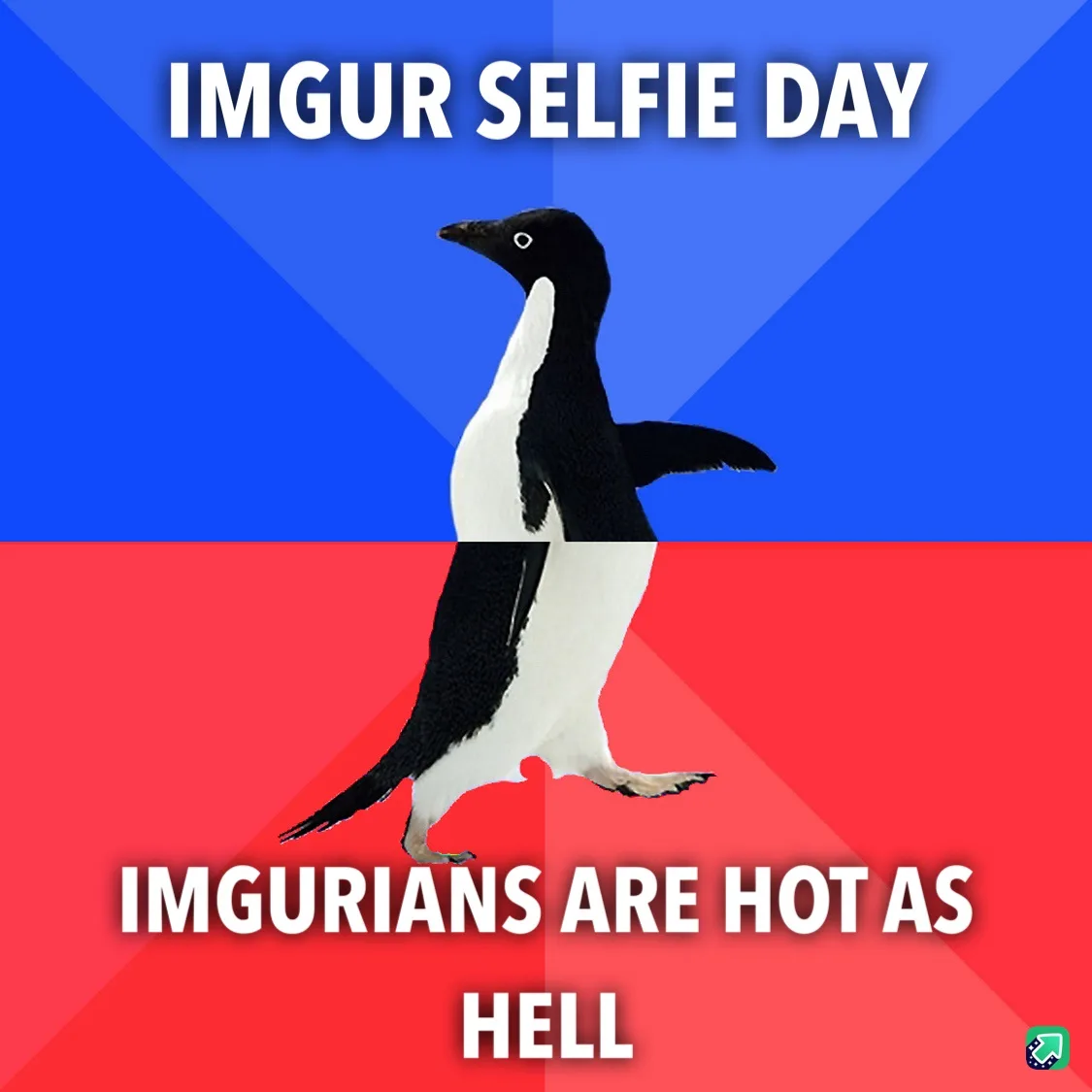 You Filthy Animal: A Classic Holiday Quip