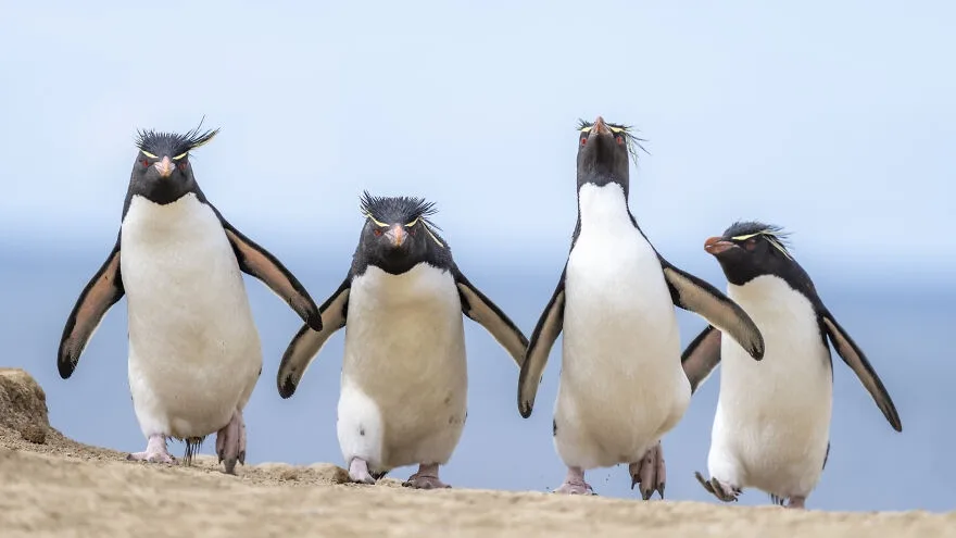 The crew is all here!